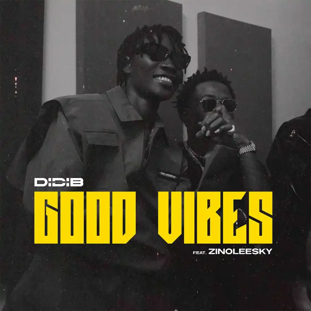Good Vibes – Didi B Ft. Zinoleesky