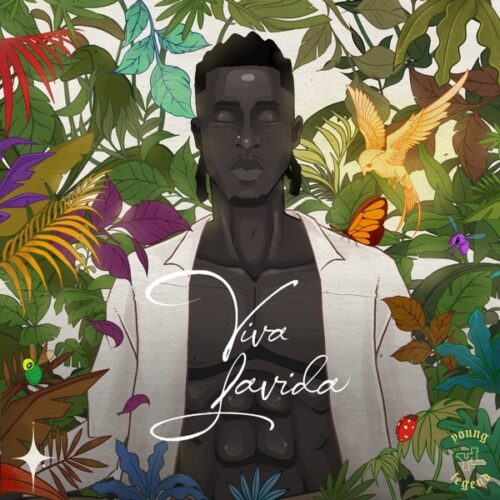 ALBUM: Joeboy – Viva Lavida