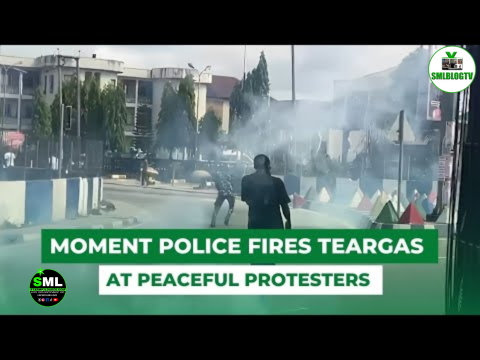 Police Fired Teargas On Peaceful Protesters