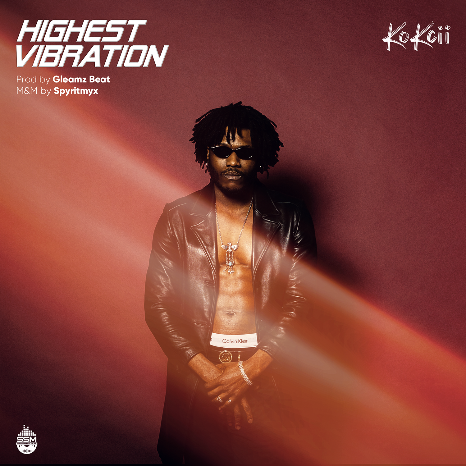 Kokcii Fka (Sneaky Special) – Highest Vibration